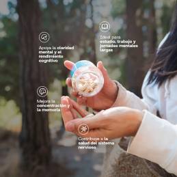 Melena de león 60 cápsulas