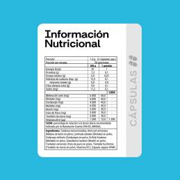 Melena de león 60 cápsulas