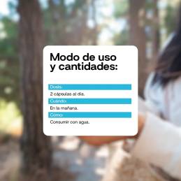 Melena de león 60 cápsulas